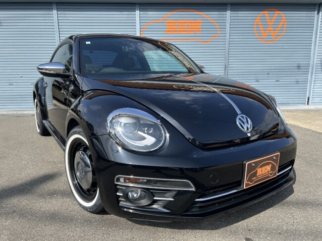 ザビートル　デザインレザーパッケージ