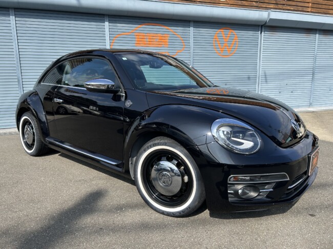 ザビートル　デザインレザーパッケージ