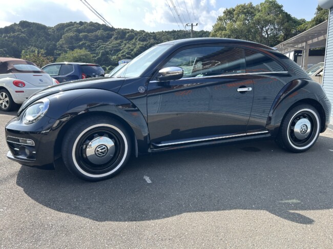 ザビートル　デザインレザーパッケージ