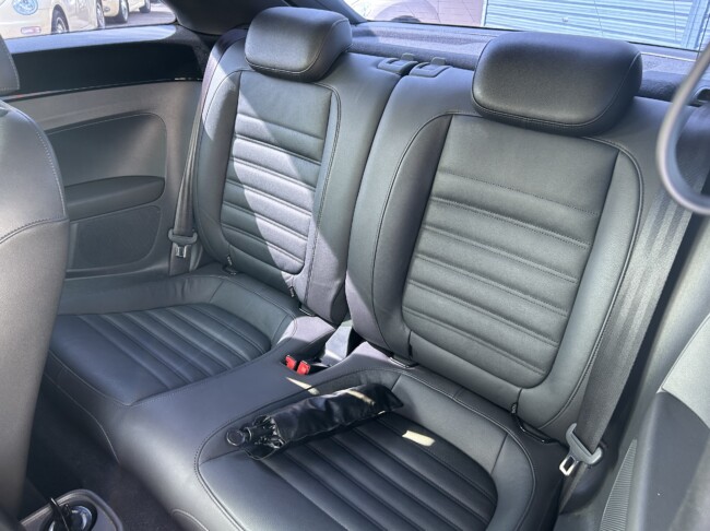 ザビートル　デザインレザーパッケージ