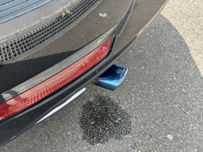 ザビートル　デザインレザーパッケージ