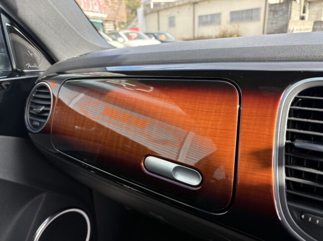 ザビートル　フェンダーエディション