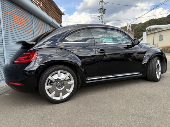 ザビートル　フェンダーエディション