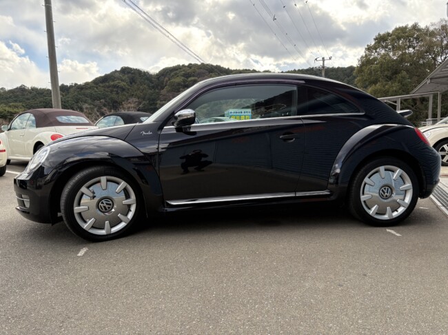 ザビートル　フェンダーエディション