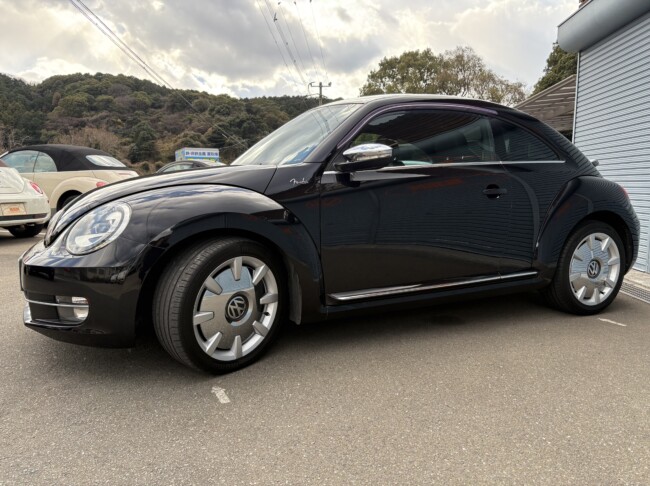 ザビートル　フェンダーエディション