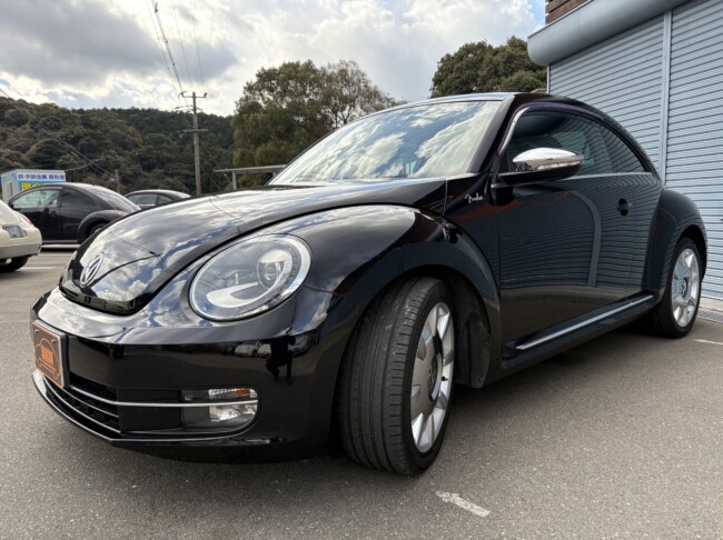 ザビートル　フェンダーエディション