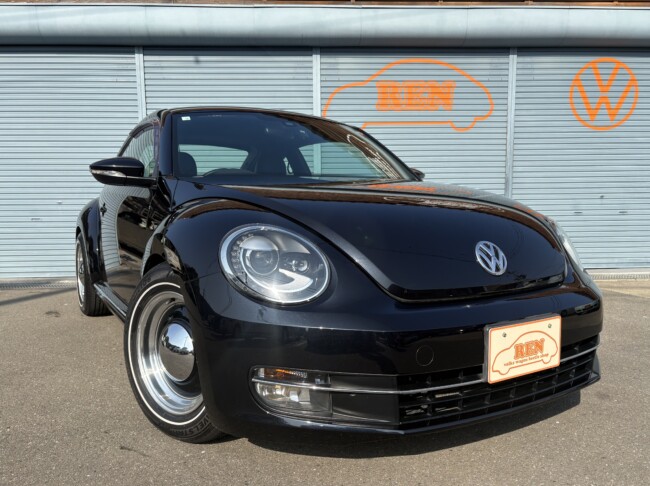 ザビートルデザインレザーPKGディープブラックパールエフェクト