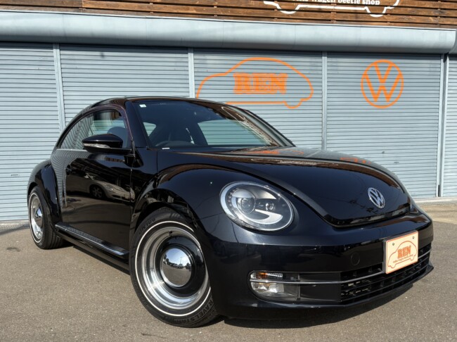 ザビートルデザインレザーPKGディープブラックパールエフェクト