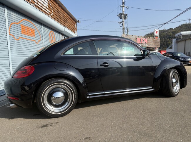 ザビートルデザインレザーPKGディープブラックパールエフェクト