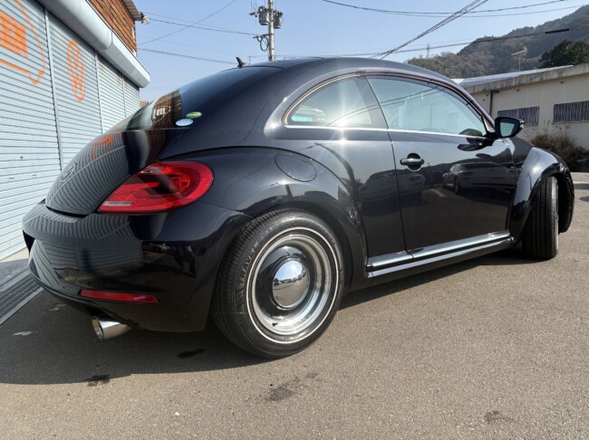 ザビートルデザインレザーPKGディープブラックパールエフェクト