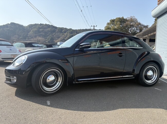 ザビートルデザインレザーPKGディープブラックパールエフェクト