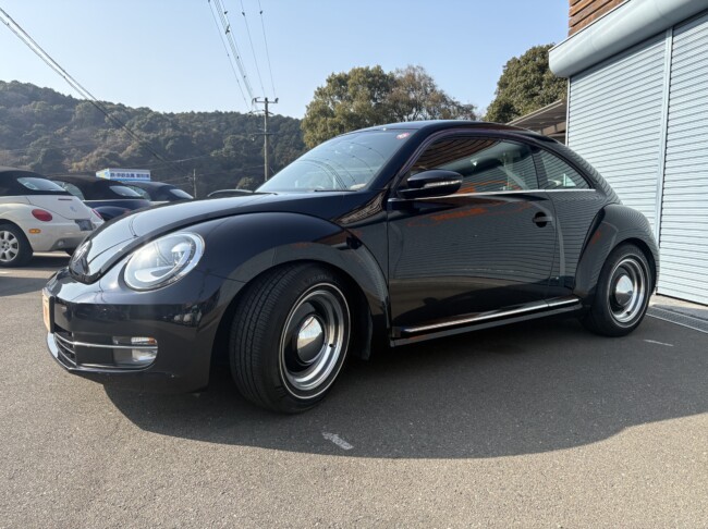 ザビートルデザインレザーPKGディープブラックパールエフェクト