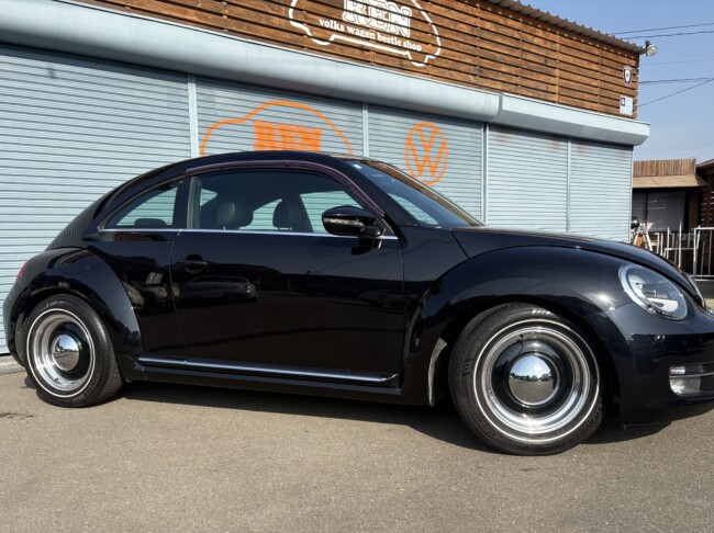 ザビートルデザインレザーPKGディープブラックパールエフェクト