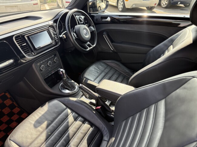 ザビートルデザインレザーPKGディープブラックパールエフェクト