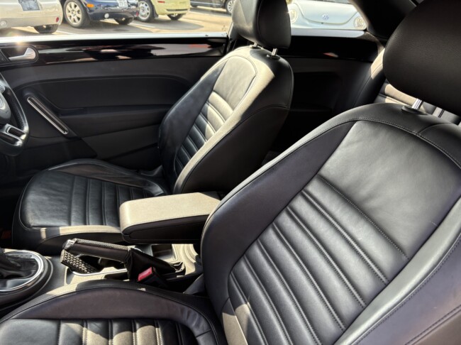 ザビートルデザインレザーPKGディープブラックパールエフェクト