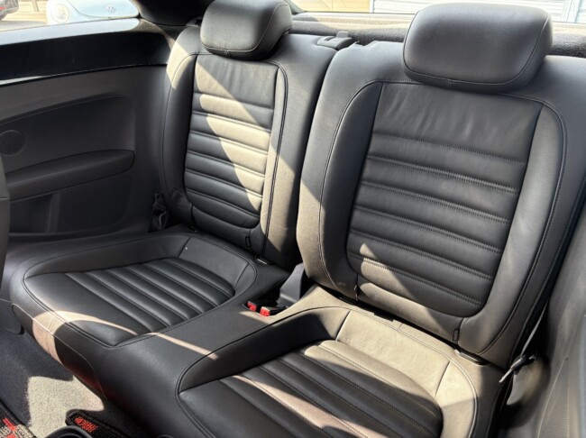 ザビートルデザインレザーPKGディープブラックパールエフェクト