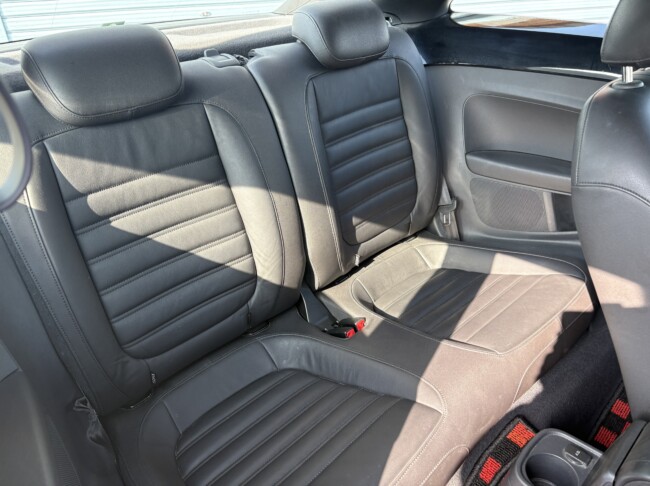 ザビートルデザインレザーPKGディープブラックパールエフェクト