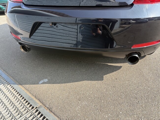 ザビートルデザインレザーPKGディープブラックパールエフェクト